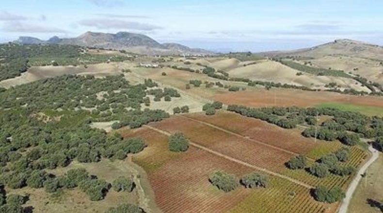 Málaga - Ronda - 260m2