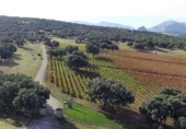 Finca rústica en venda a Ronda ref.: TR188384 foto