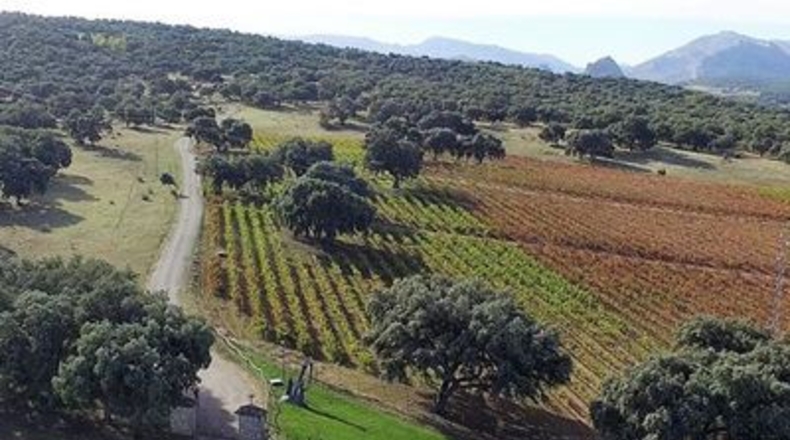 Málaga - Ronda - 260m2