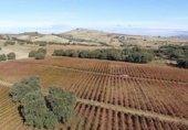 Finca rústica en venda a Ronda ref.: TR188384 foto