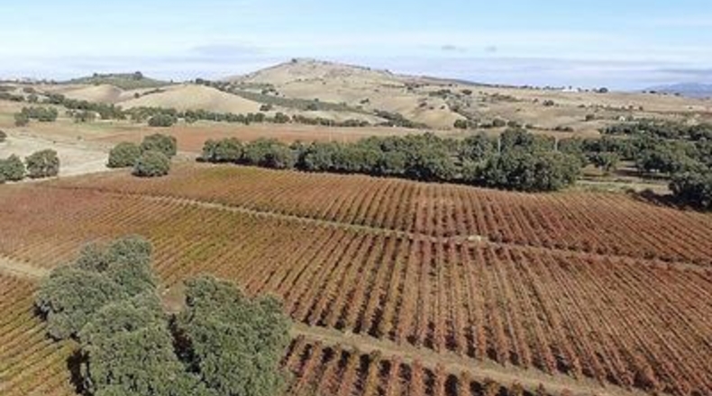 Málaga - Ronda - 260m2