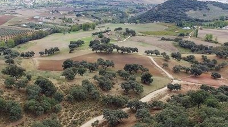 Málaga - Ronda - 260m2
