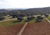 Finca rústica en venda a Ronda ref.: TR188384 foto