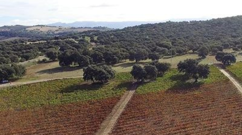 Málaga - Ronda - 260m2
