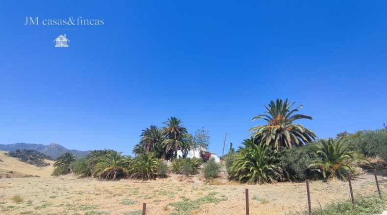 Málaga - La Planilla - 20000m2