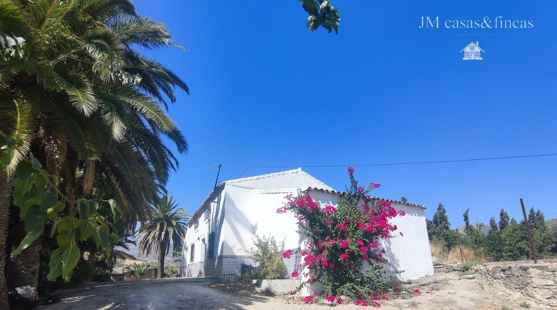 Málaga - La Planilla - 20000m2
