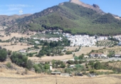 Country house with land for sale in Ronda ref: TR15746 photo
