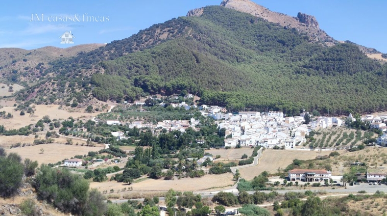 Málaga - La Planilla - 20000m2