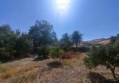 Country house with land for sale in Ronda ref: TR15746 photo