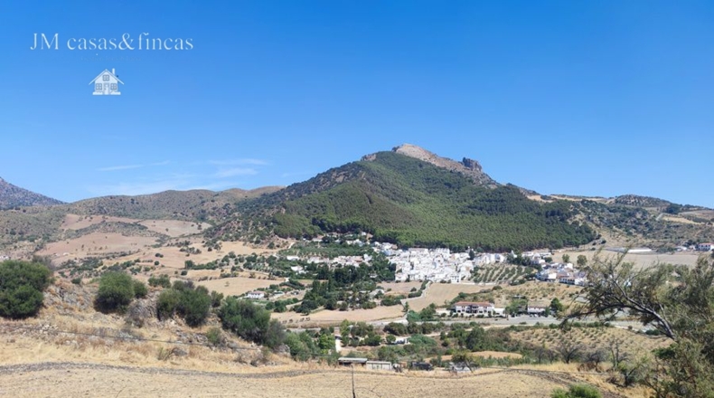 Málaga - La Planilla - 20000m2
