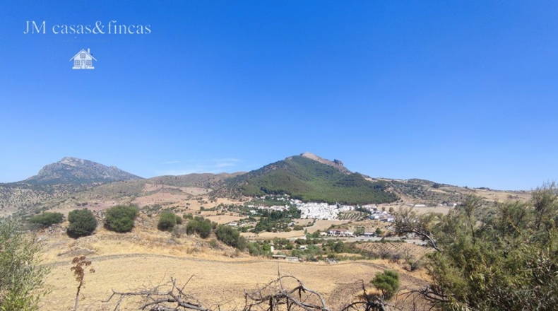 Málaga - La Planilla - 20000m2