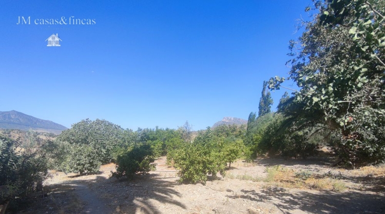 Málaga - La Planilla - 20000m2