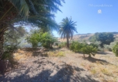 Country house with land for sale in Ronda ref: TR15746 photo