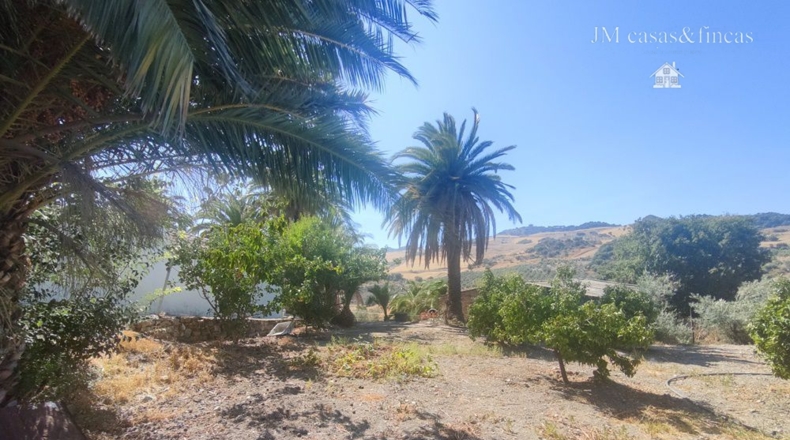 Málaga - La Planilla - 20000m2