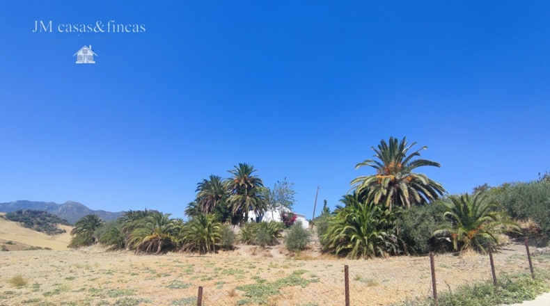 Málaga - La Planilla - 20000m2