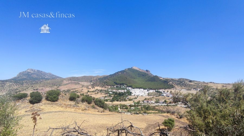 Málaga - La Planilla - 20000m2