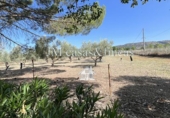 Finca rústica en venda a Ronda ref.: TR81231 foto
