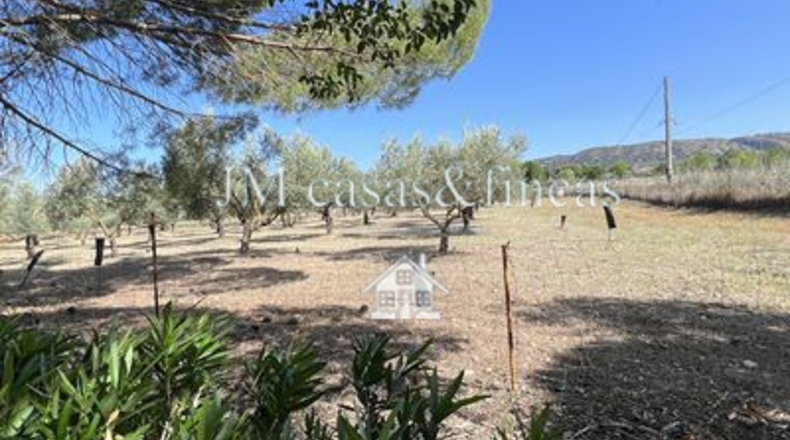 Málaga - Ronda - 12330000m2