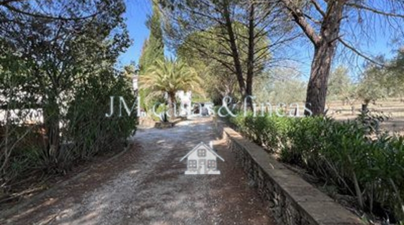 Málaga - Ronda - 12330000m2
