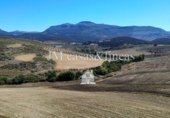 Finca rústica en venda a Ronda ref.: TR92084 foto