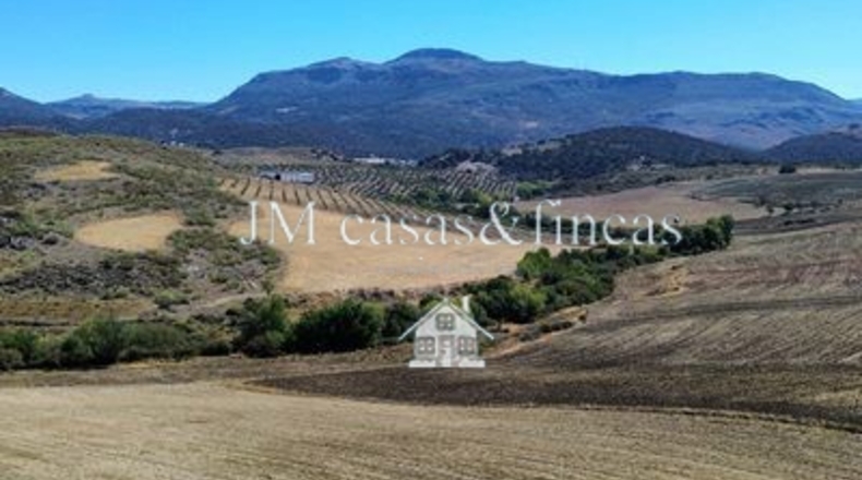 Málaga - La Planilla - 30430m2