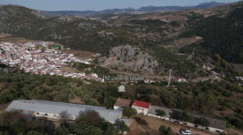 Málaga - Ronda - 65688m2
