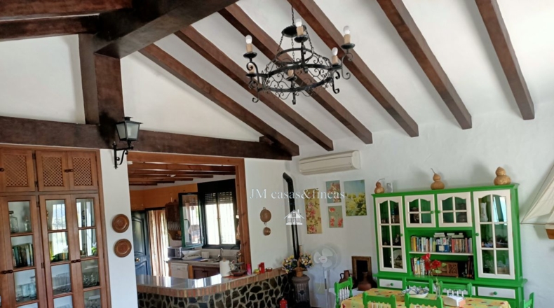 Cádiz - El Gastor - 38000m2