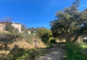 Rural estate for sale in Ronda ref: TR106752 photo