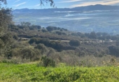 Rural estate for sale in Ronda ref: TR106752 photo