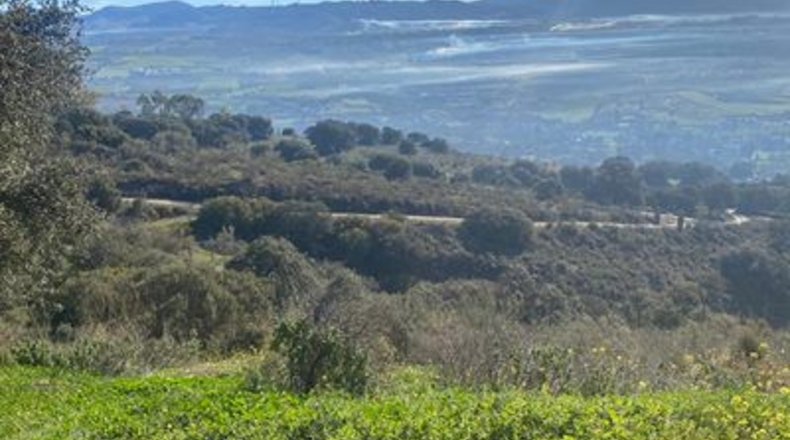 Málaga - Ronda - 60000m2