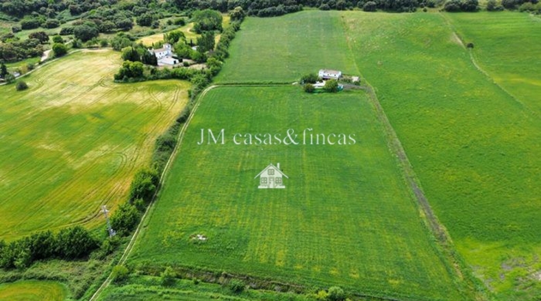 Malaga - Ronda - 50000m2