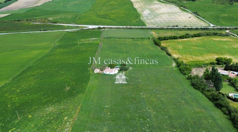 Malaga - Ronda - 50000m2