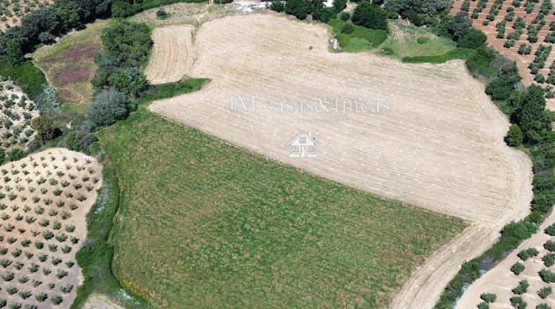 Málaga - La Planilla - 6m2