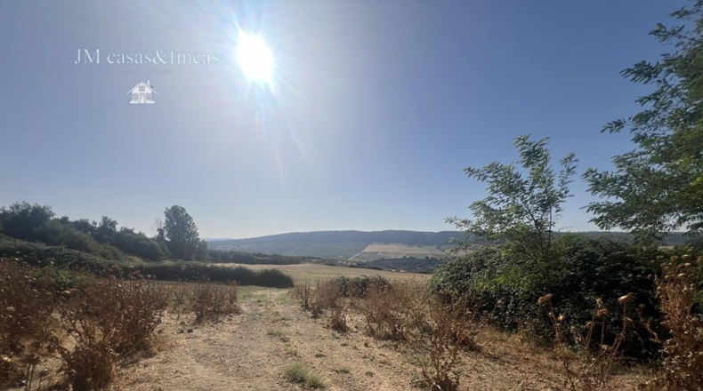 Málaga - La Planilla - 6m2