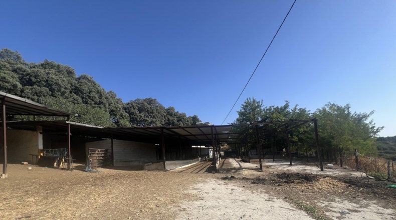 Málaga - La Planilla - 6m2