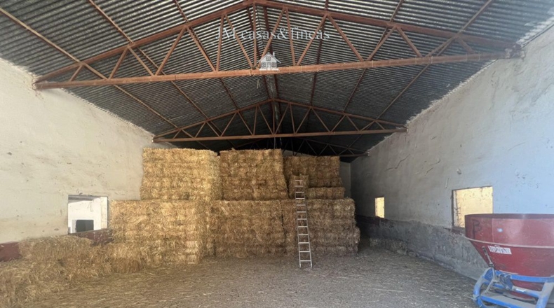 Málaga - La Planilla - 6m2