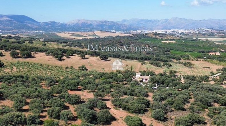 Malaga - Ronda - 51m2