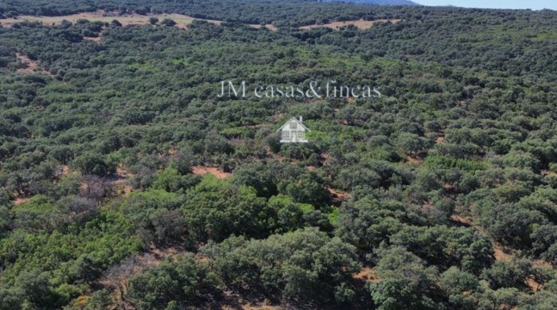 Malaga - Ronda - 51m2
