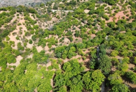Parauta 28000&nbsp;m² 