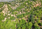 Земля на продажу у города Parauta Фото