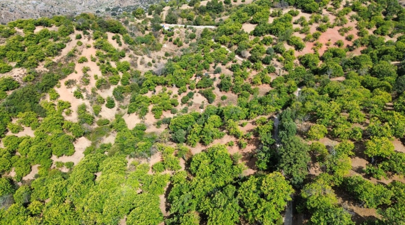 Malaga - Parauta - 33000m2