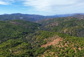 Parauta 28000&nbsp;m² 