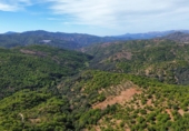 Земля на продажу у города Parauta Фото