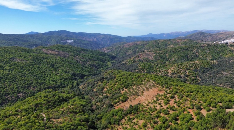 Malaga - Parauta - 33000m2