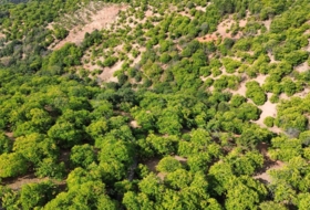 Parauta 28000&nbsp;m² 