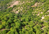 Земля на продажу у города Parauta Фото