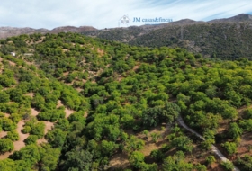 Parauta 28000&nbsp;m² 