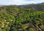 Земля на продажу у города Parauta Фото
