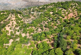Parauta 28000&nbsp;m² 