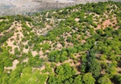 Земля на продажу у города Parauta Фото